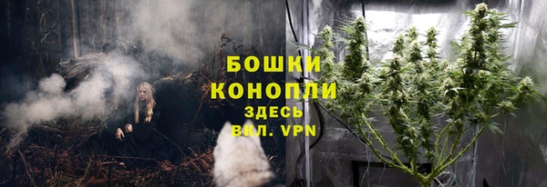 apvp Пересвет