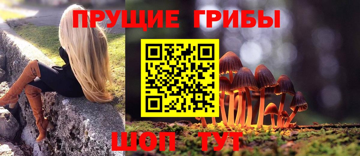 Псилоцибиновые грибы MAGIC MUSHROOMS Асбест