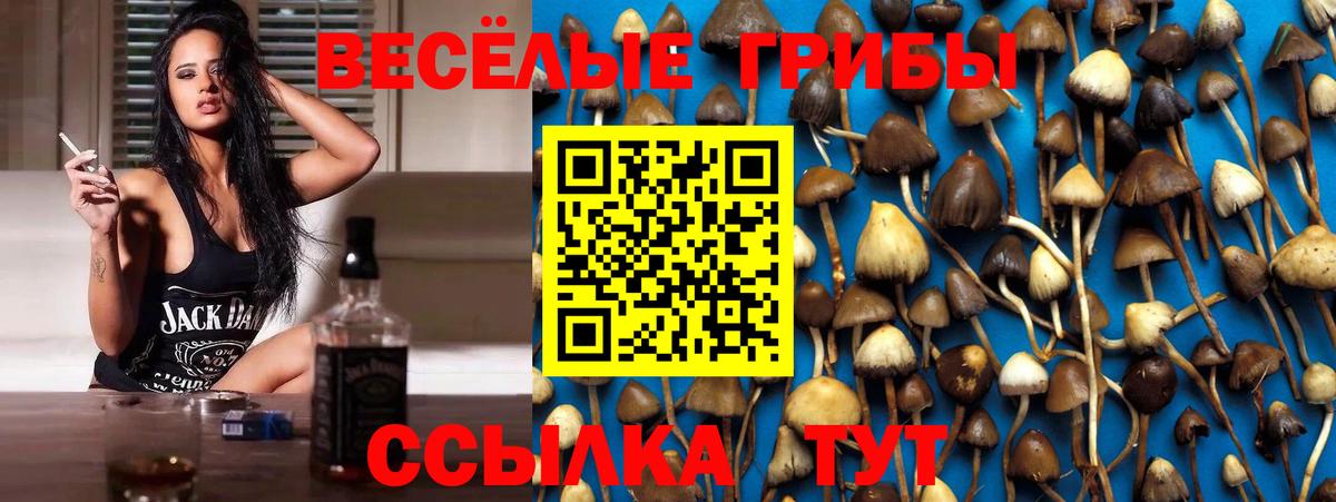 Галлюциногенные грибы Magic Shrooms  купить   Асбест 